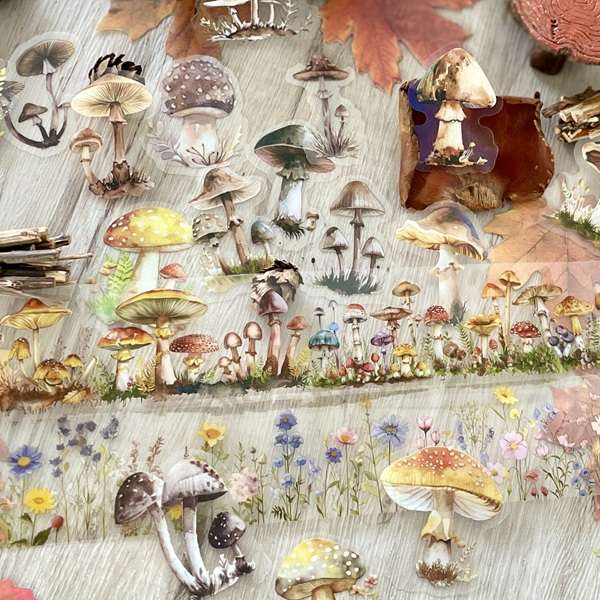 aperçu des masking tapes et stickers de la série "histoires de forêts"