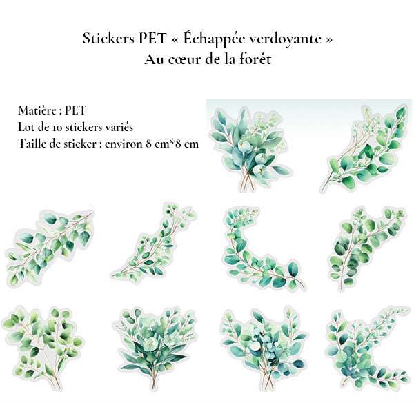 Stickers PET transparents branches d'eucalyptus vertes