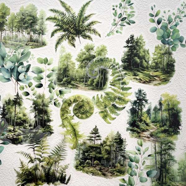 Stickers PET transparents nature eucalyptus fougères et paysages de forêt