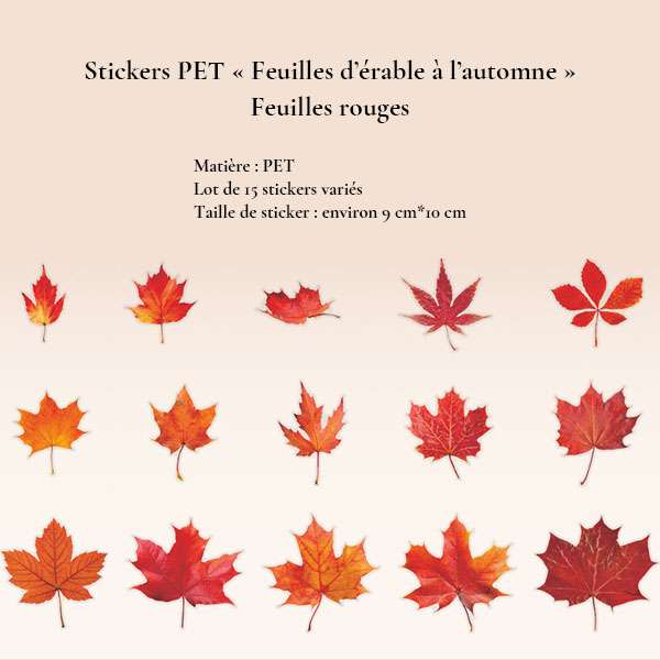 Collection de 15 stickers PET feuilles d'érable rouges aux nuances flamboyantes pour journaling et scrapbooking d'automne.