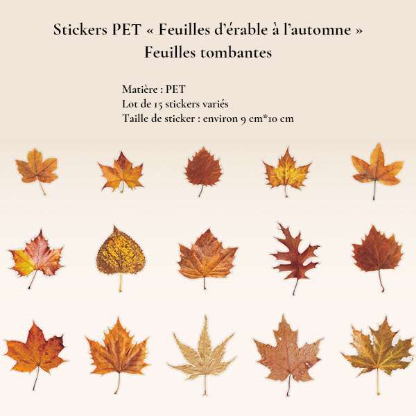 Lot de 15 stickers PET feuilles d'érable aux couleurs d'automne, nuances jaunes, orangées, brunes et rouges, modèle Feuilles tombantes.